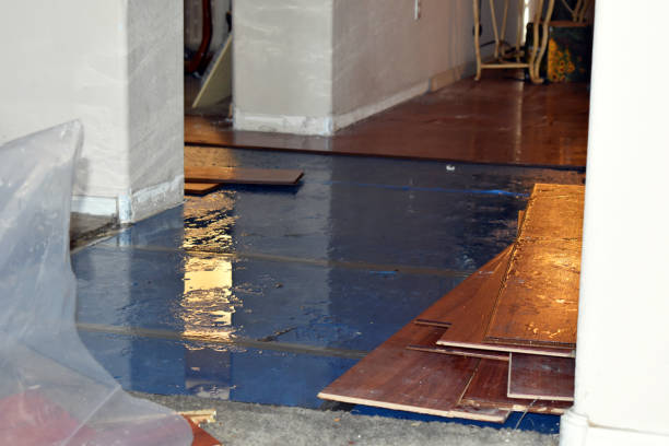 Professional Crawl Space Water Removal technician working in Cecil, WI